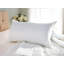 Wayfair Sleep™ Polyester Plush Pillow-1002670899