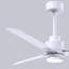 Alessandra - Three Blade Transitional Ceiling Fan -LED-1988507009-1988507049-1973181049