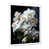 Cadre simple blanc