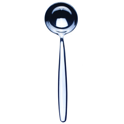 Immagina Stainless Steel Ladle