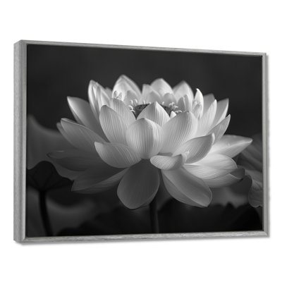 Gris gris et gris, impression d'art mural Lotus