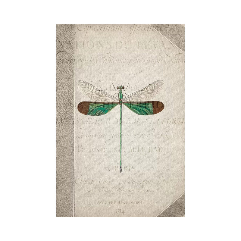 Dragonfly Book II by Kimberly Allen - Print on Canvas, 101.6cm H x 66.04cm W x 3.81cm D, Wrapped Canvas