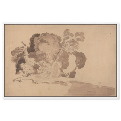 Étude sur les arbres, illustration rétro sur toile par Art Remedy