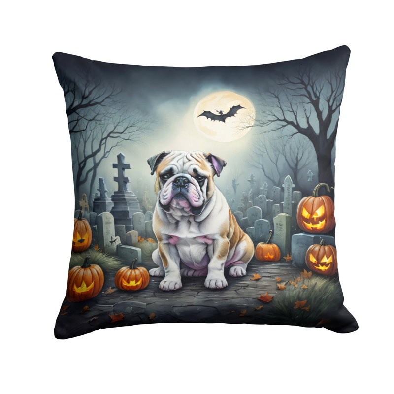  Housse et insert de coussin décoratif en polyester, 14 po x 14 po