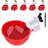 Chicken Drinking Cup 6 Pack