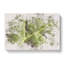 Paths of the Leaf Watercolour - Wrapped Canvas-56661904