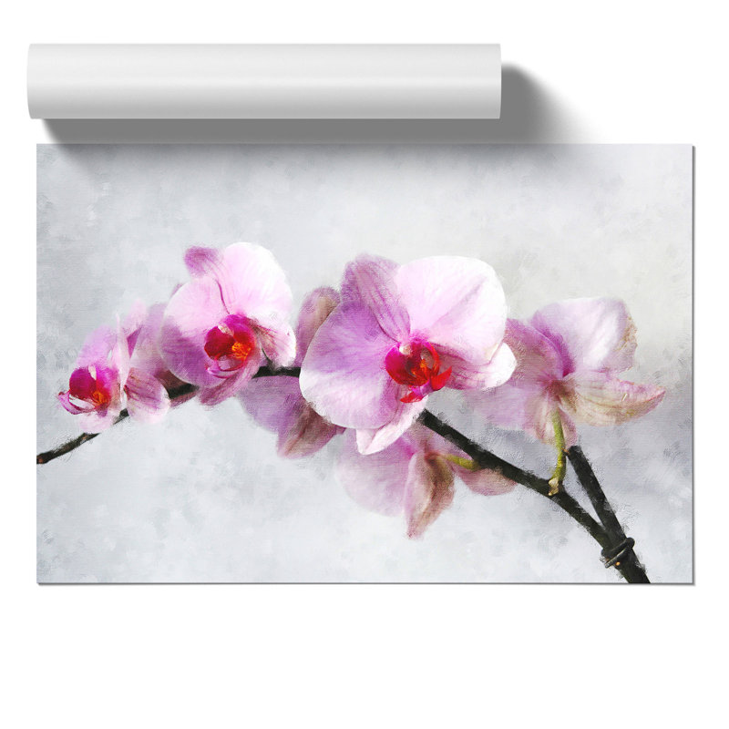 Orchid Flowers Vol.5 - No Frame Print, 42cm H x 59cm W x 0.1cm D