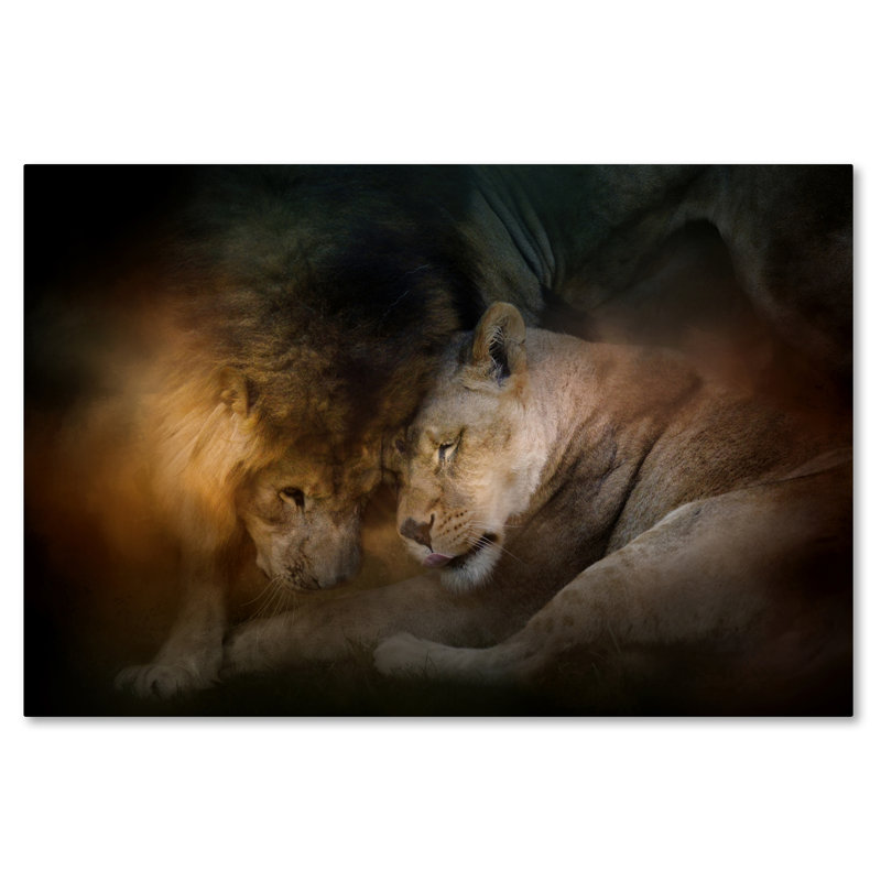 «Lion Love» par Jai Johnson - impression d'art graphique, H 22 po x l 32 po