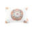 Twin Bedding With Comforter And Sheet - Alluring Touch Appealing Design-121259701