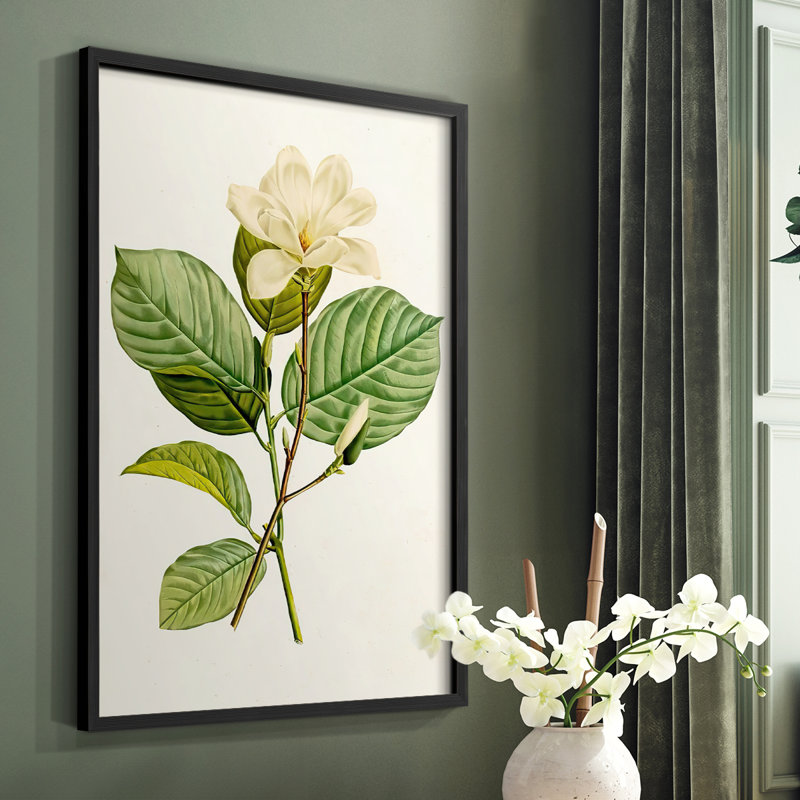 «Magnolia Flowers I», reproduction encadrée - bois massif, Noir, H 28 po x l 22 po
