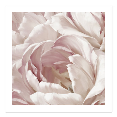 Intime rosé II - photographie
