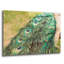 «Peacock Feather Tail 01» par Tom Quartermaine, art mural en verre acrylique-109021553