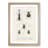 Beetle Illustrations PL.9 by Charles D'Orbigny - Single Picture Frame Print-55544055-55544054