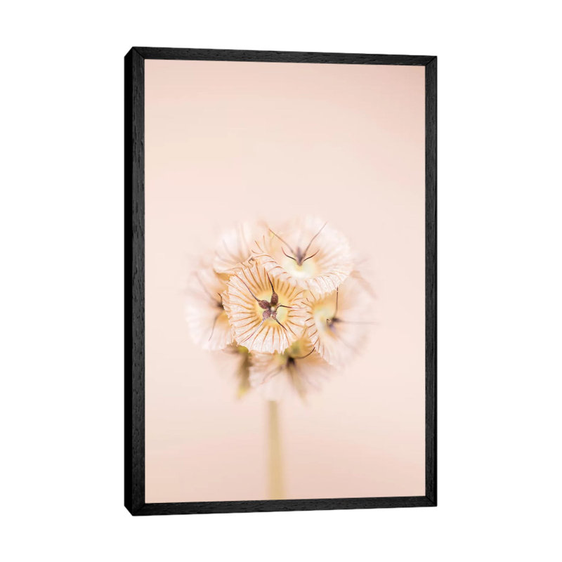 Bleach Blonde II 1 Piece Wall Art on Canvas, 101.6 cm H x 66.04 cm W, Black Framed