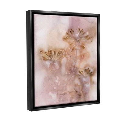 " Abstract Botanical Seeds Floater Frame " by Pernille Folcarelli