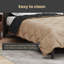 Bedding-1817851859