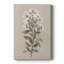 Tige florale blanche II - Cavas enveloppés de galerie-108843747