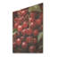 Red Cherry Fruit Beauty II - Cerise sur bois-1933565474