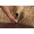 Kitchen Mat