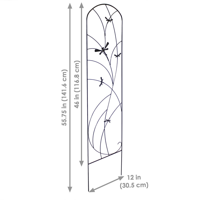 142cm H x 32cm W Metal Arched