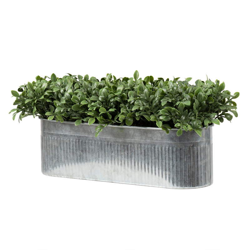 51cm Faux Boxwood Trough UV