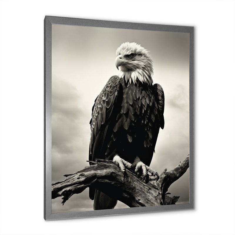" Powerful Bold Eagle I ", 44" H x 34" W x 1.5" D, Silver Single Picture Framed