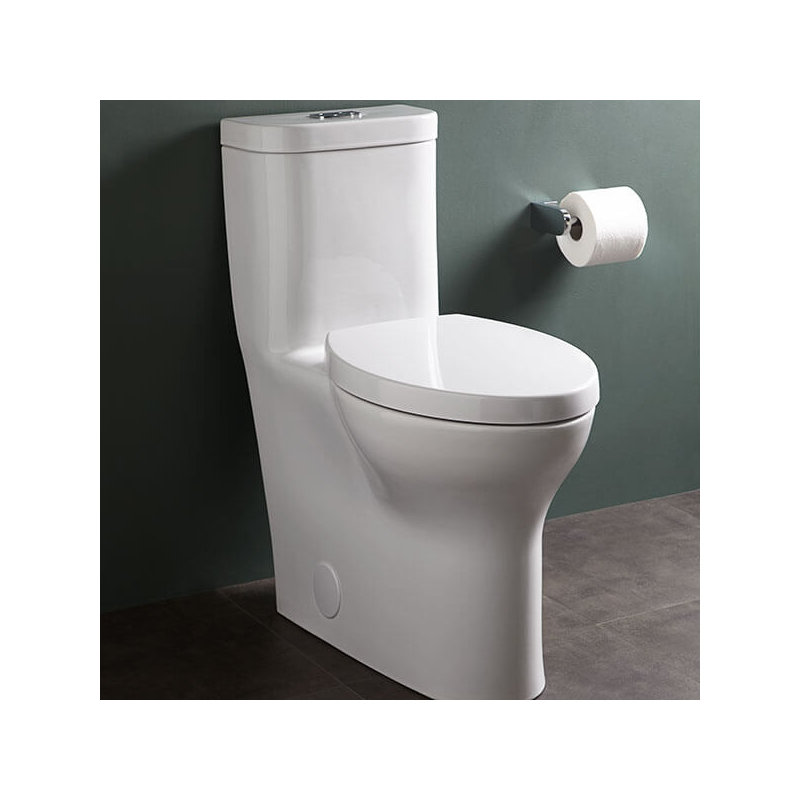 Equility Dual-Flush Elongated One-Piece Toilet (Seat Included)