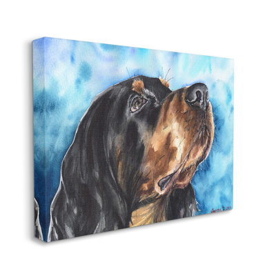Portrait de chien Gordon Setter sur fond bleu vif