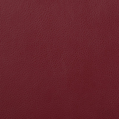 Elodie Red Upholstered Motion Reclining Loveseat