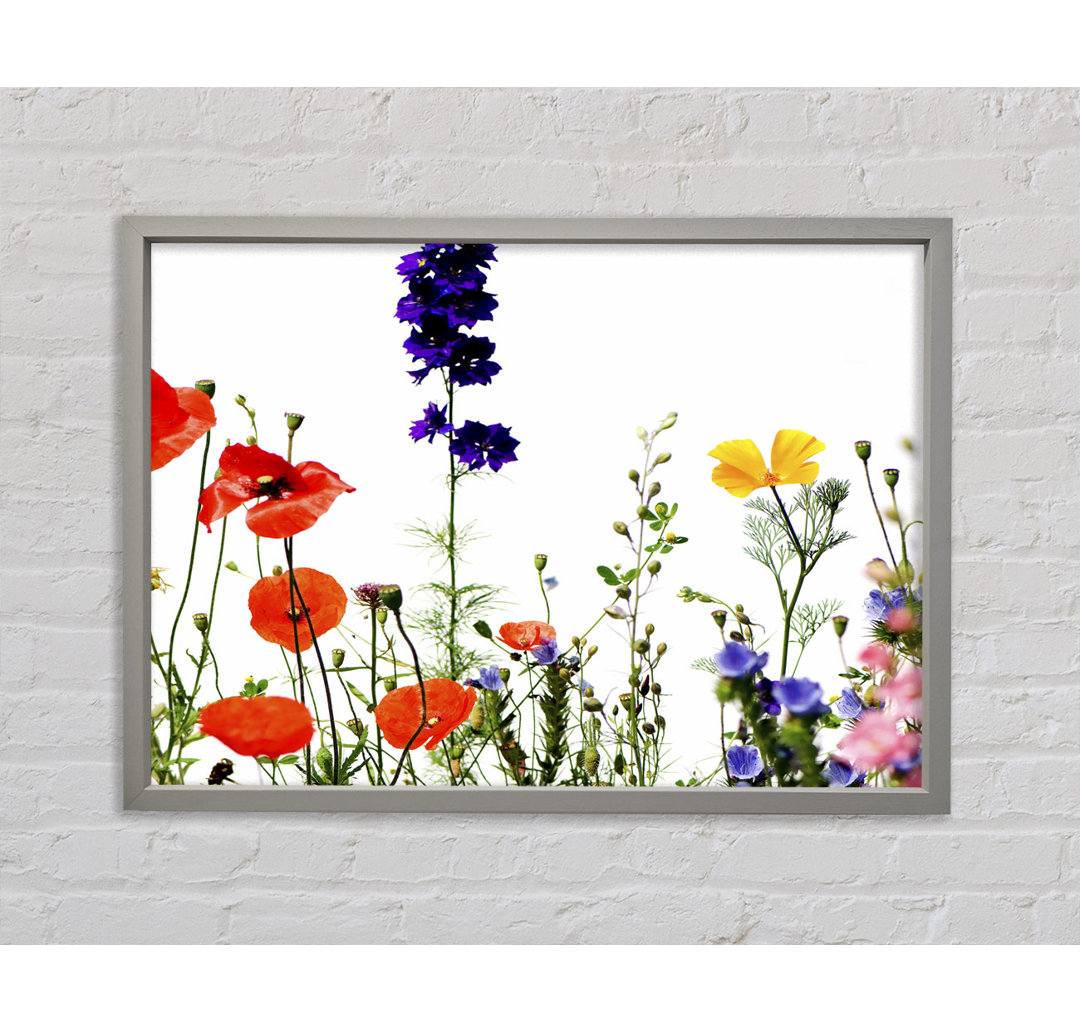 Wild Flower Garden In Bloom - Single Picture Frame Kunstdrucke auf Leinwand