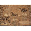 Tapis de collection Shirvan