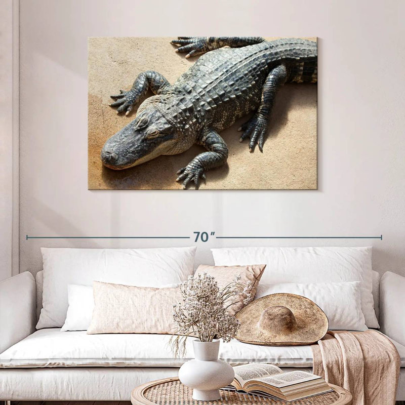 Alligator, 30" H x 45" W