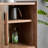Simple and Retro Storage Accent Chest