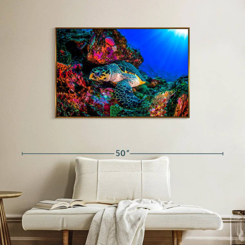 Tortue océan monde, Cadre flottant doré, 40 po x 27 po