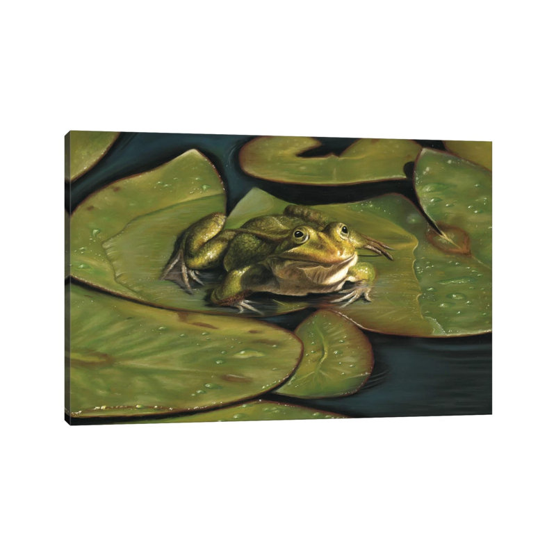 Green Frog by Richard Macwee - No Frame Gallery-Wrapped Canvas Giclée on Canvas