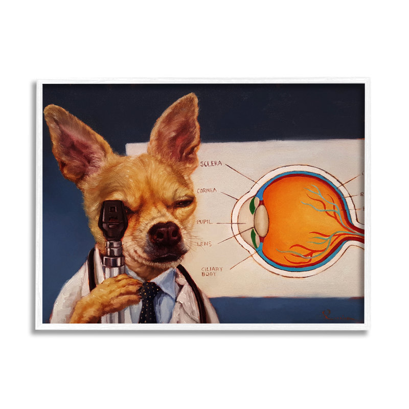 «Dog Optometrist» par Lucia Heffernan, H 11 po x l 14 po, Giclée encadrée blanc bord de mer