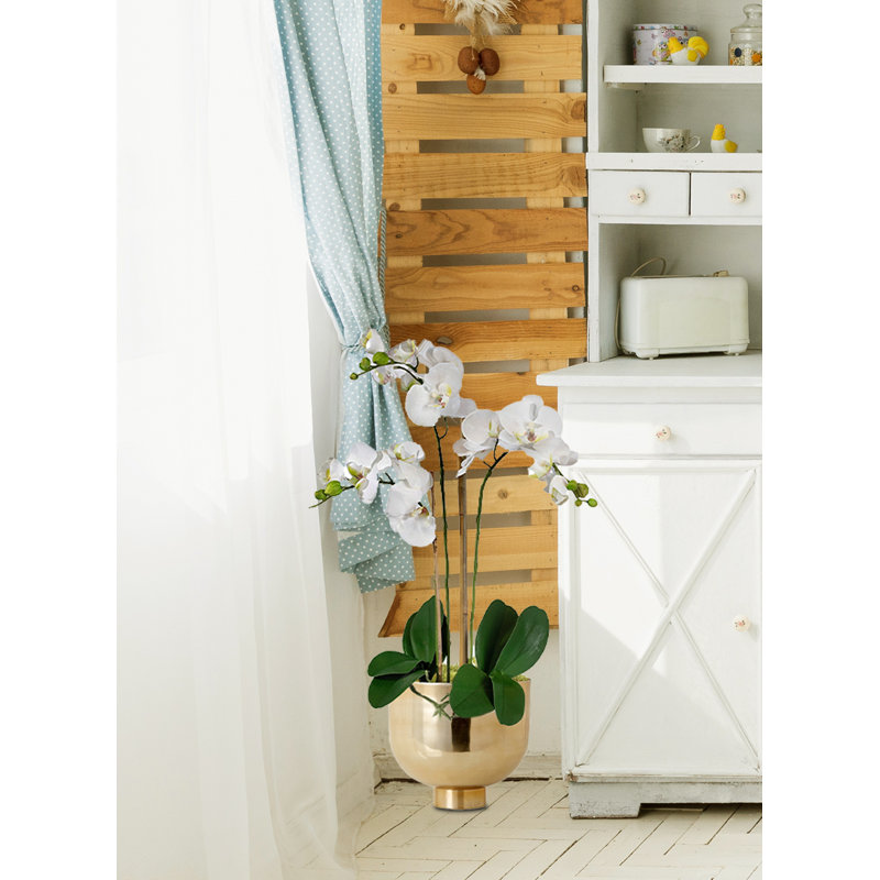 Orchidée artificielle dans un vase, Blanc