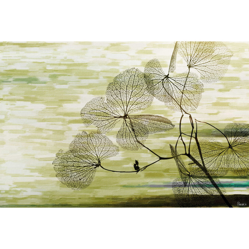 Kelp by Parvez Taj - Wrapped Canvas Print, 41cm H x 61cm W