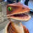 Raptor Dinosaur Hatching Life Size Statue