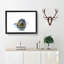 Grey Seal - Framed Print-55608901-55608903