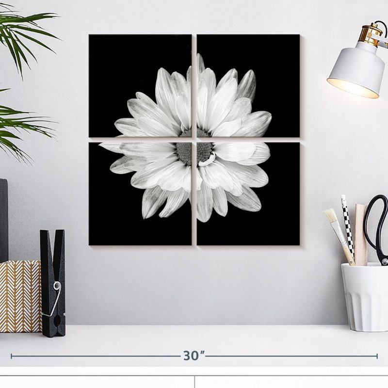 Harnek BW - marguerite blanche, H 18 po x l 18 po