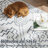 Kevontre Chenille Mashine Washable Vintage Indoor Arae Rug with Non-Slip Backing for Bedroom Living Room Kitchen Entryway-1998541595