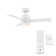 Axis 44'' Ceiling Fan with LED Lights