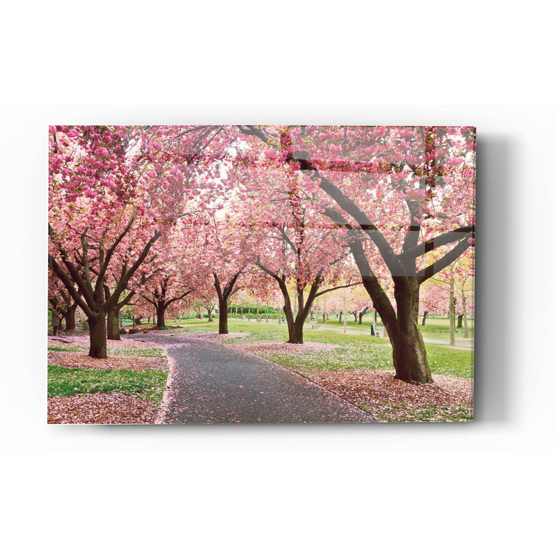 «Cherry Parade» par Kathrine Gendreau
