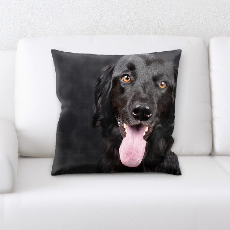 Coussin pour chien