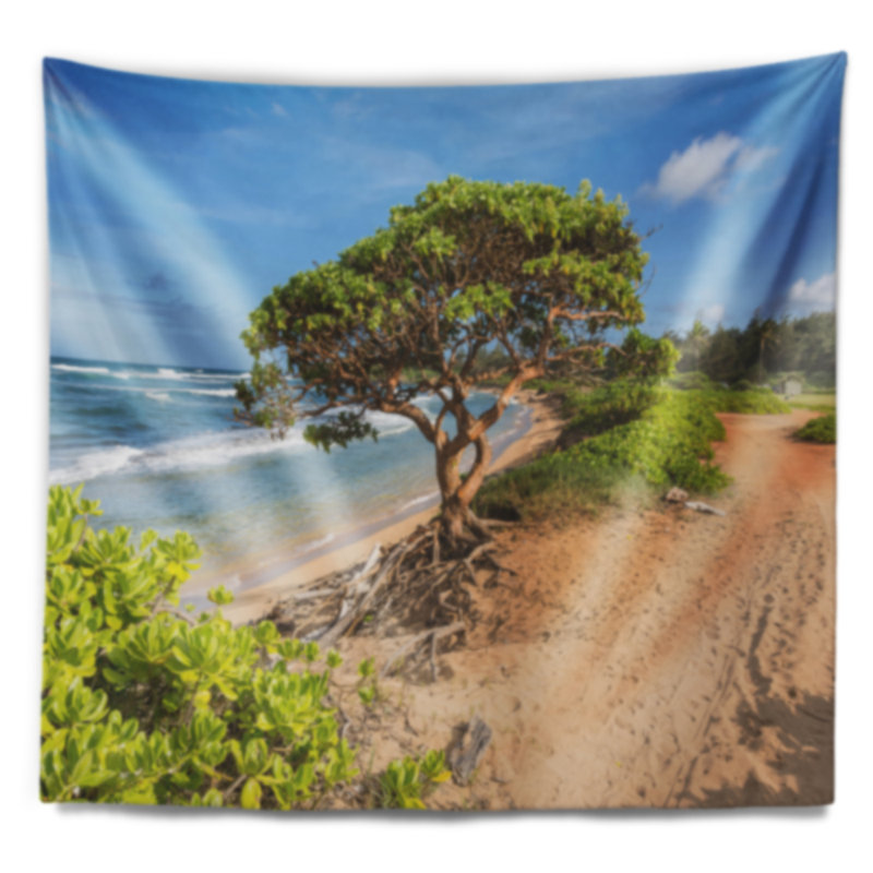 Tapisserie Kauai Hawaii, H 50 po x l 60 po