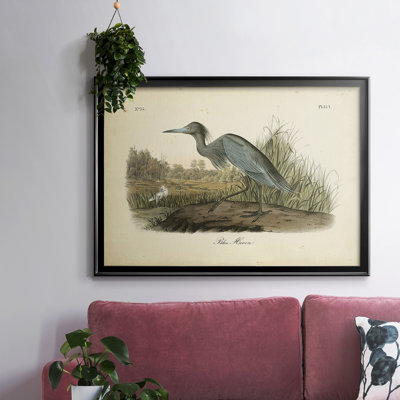 " Audubons Blue Heron "