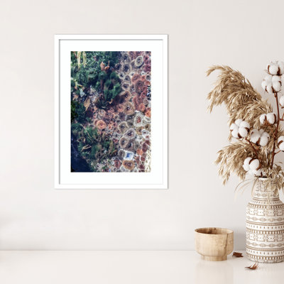 Daisey "Ocean Curiosities" Print
