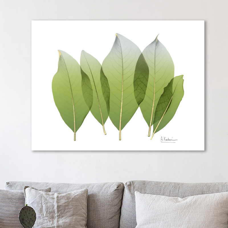 Golden Magnolia Leaf - Wrapped Canvas Print, 30 cm H x 41 cm W