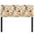 Abstract Paw Print Patterning III is out of stock